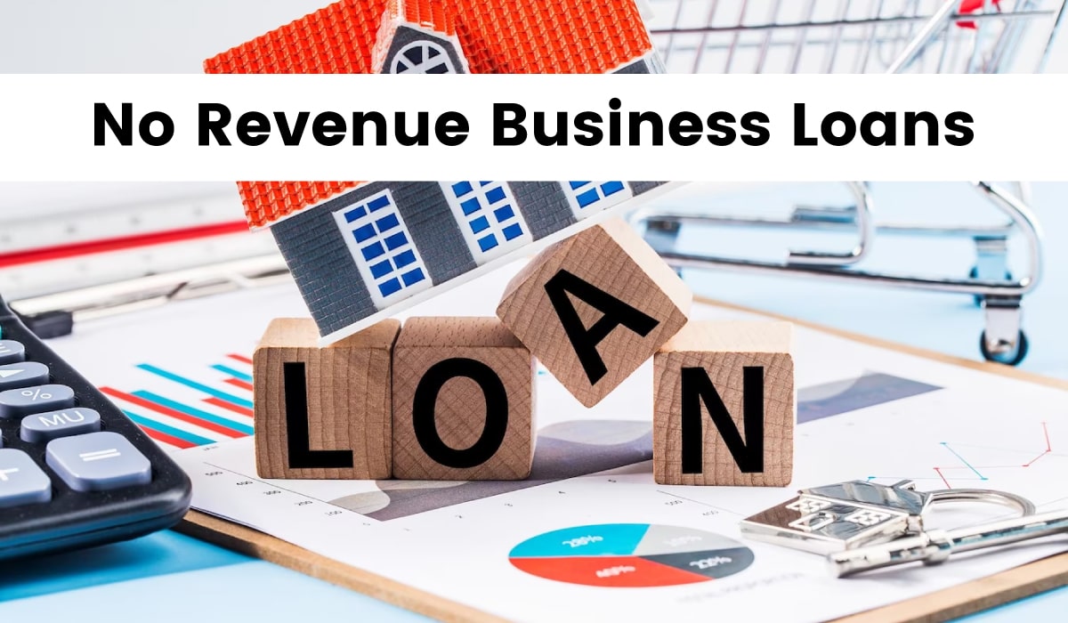 no revenue business loans